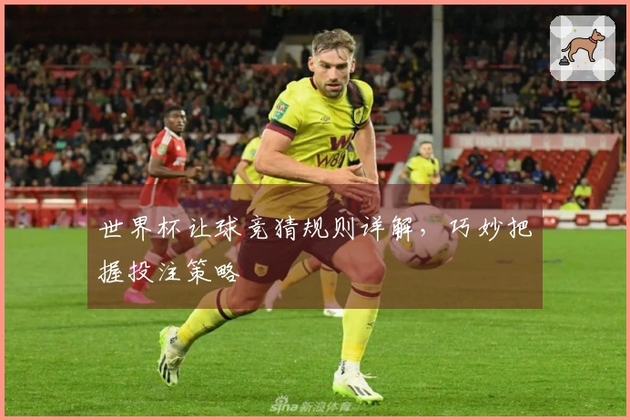 世界杯让球竞猜规则详解，巧妙把握投注策略