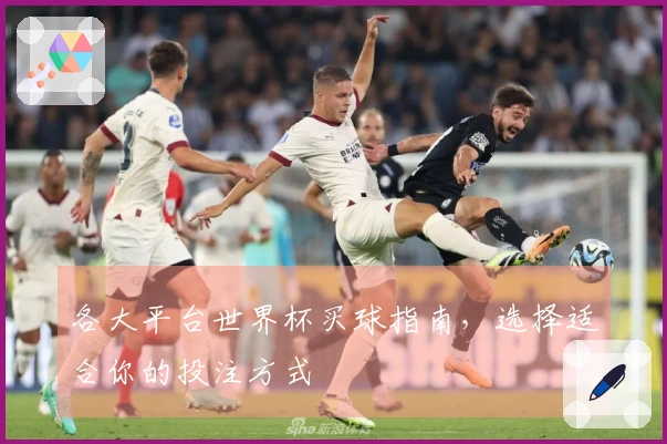 各大平台世界杯买球指南，选择适合你的投注方式