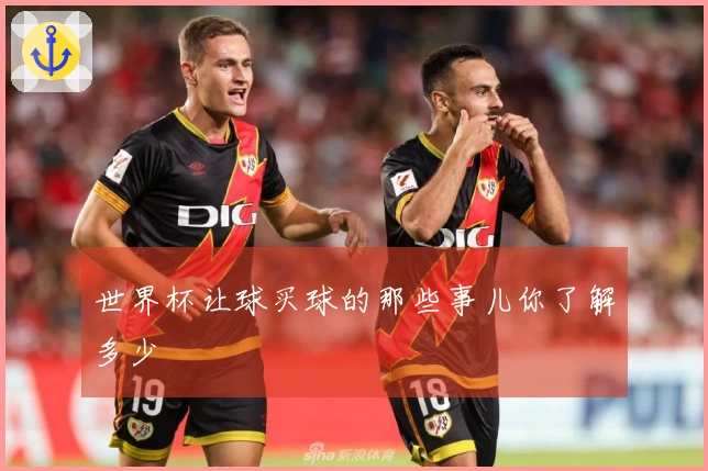 世界杯让球买球的那些事儿你了解多少