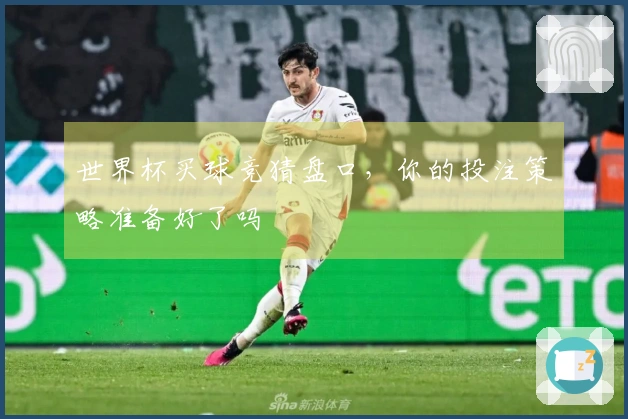 世界杯买球竞猜盘口，你的投注策略准备好了吗