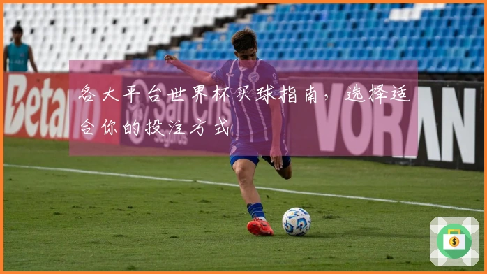 各大平台世界杯买球指南，选择适合你的投注方式